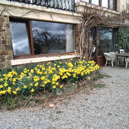 Dinant La Bergeronnette Avec La Chaleur Du Feu De Bois Et Le Jardin别墅 外观 照片