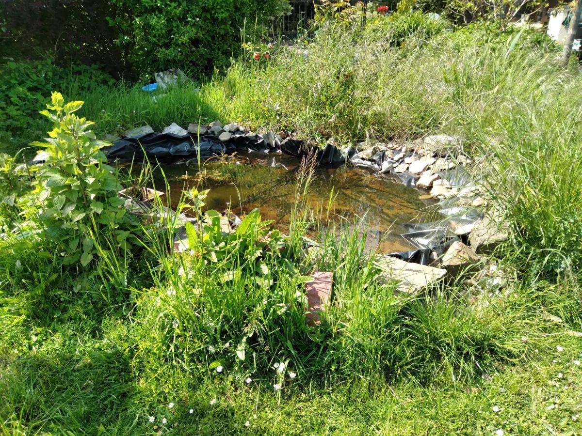 Dinant La Bergeronnette Avec La Chaleur Du Feu De Bois Et Le Jardin别墅 外观 照片