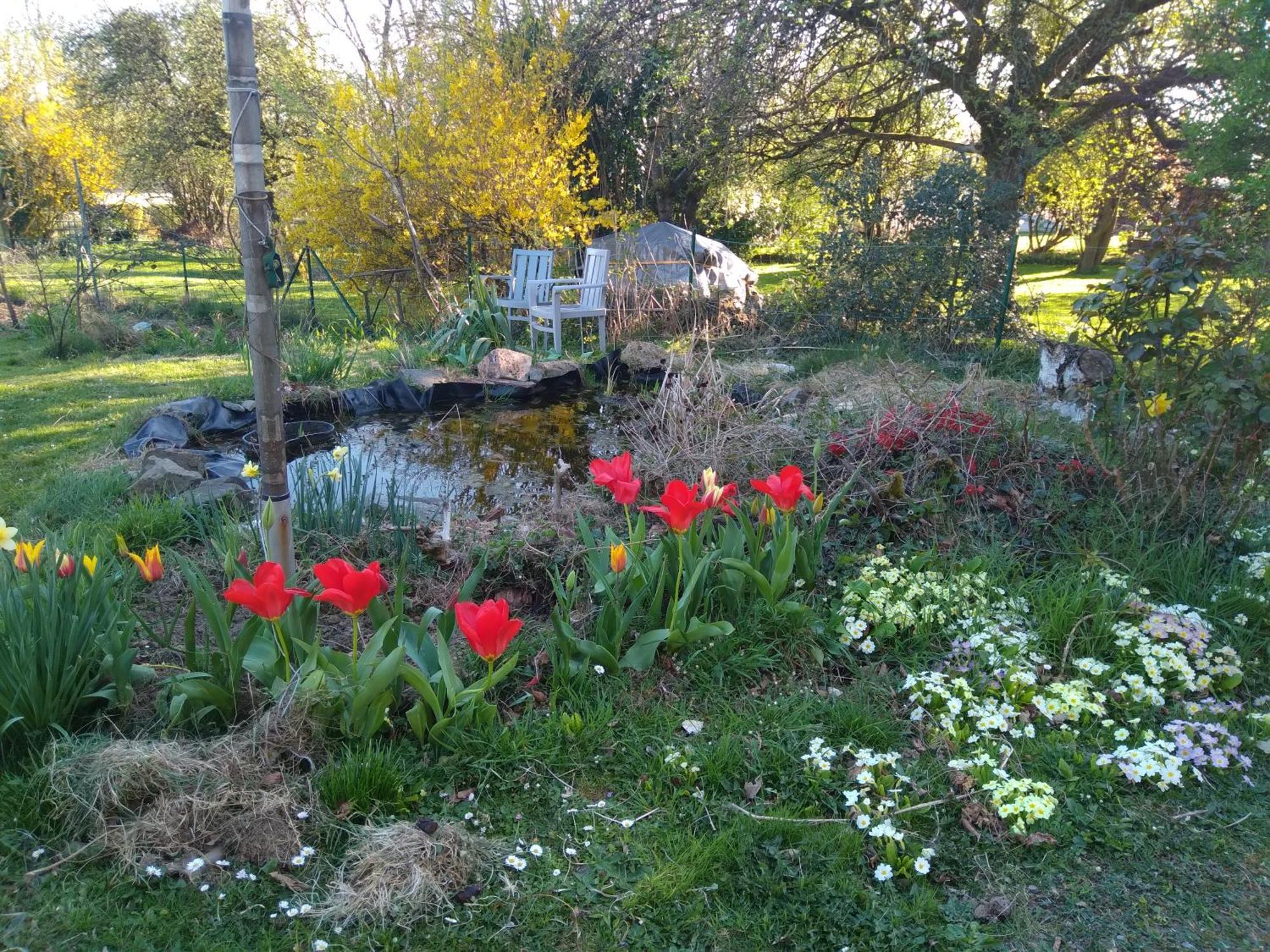 Dinant La Bergeronnette Avec La Chaleur Du Feu De Bois Et Le Jardin别墅 客房 照片