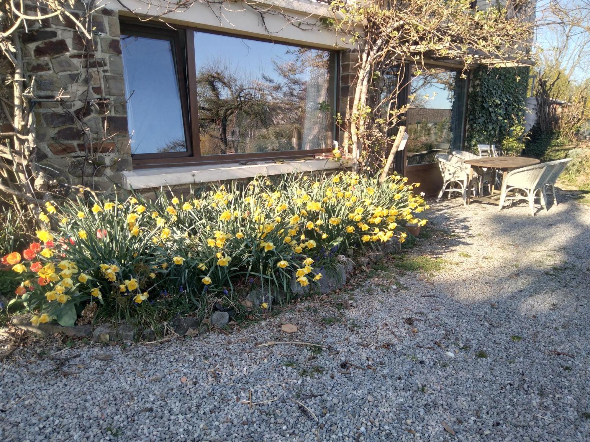 Dinant La Bergeronnette Avec La Chaleur Du Feu De Bois Et Le Jardin别墅 客房 照片