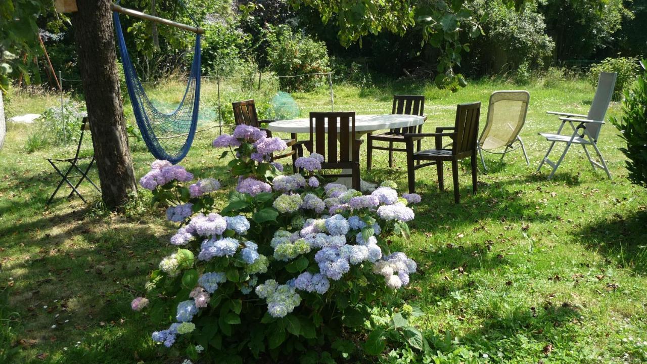 Dinant La Bergeronnette Avec La Chaleur Du Feu De Bois Et Le Jardin别墅 外观 照片